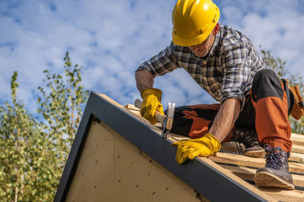 Best Roof Ventilation Installation  in Bee Ridge, FL